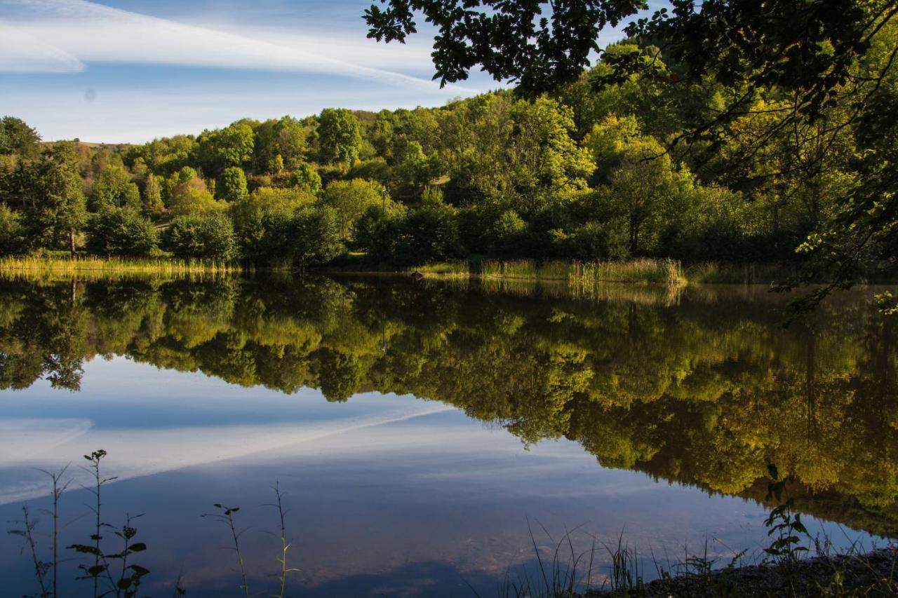 Le Lac Des Moines Condat (Cantal) Exterior foto