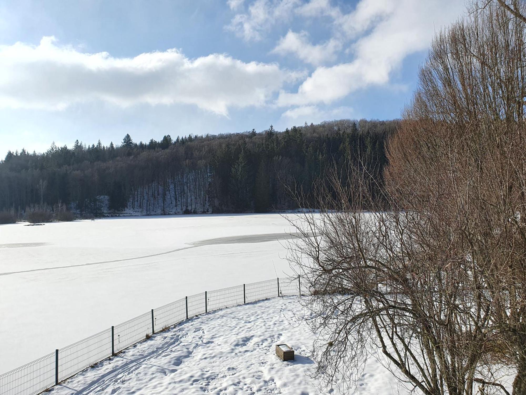 Le Lac Des Moines Condat (Cantal) Exterior foto