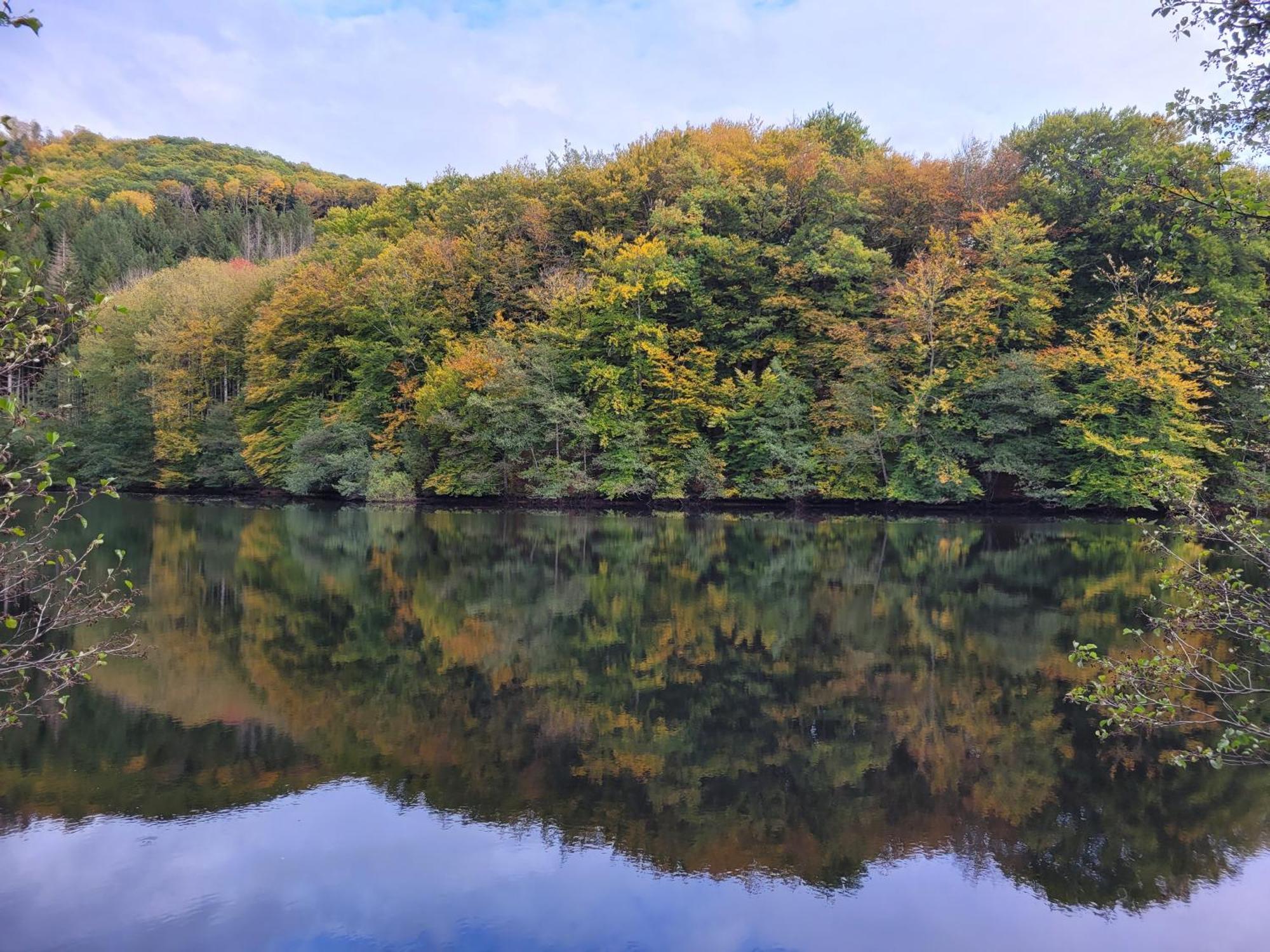 Le Lac Des Moines Condat (Cantal) Exterior foto