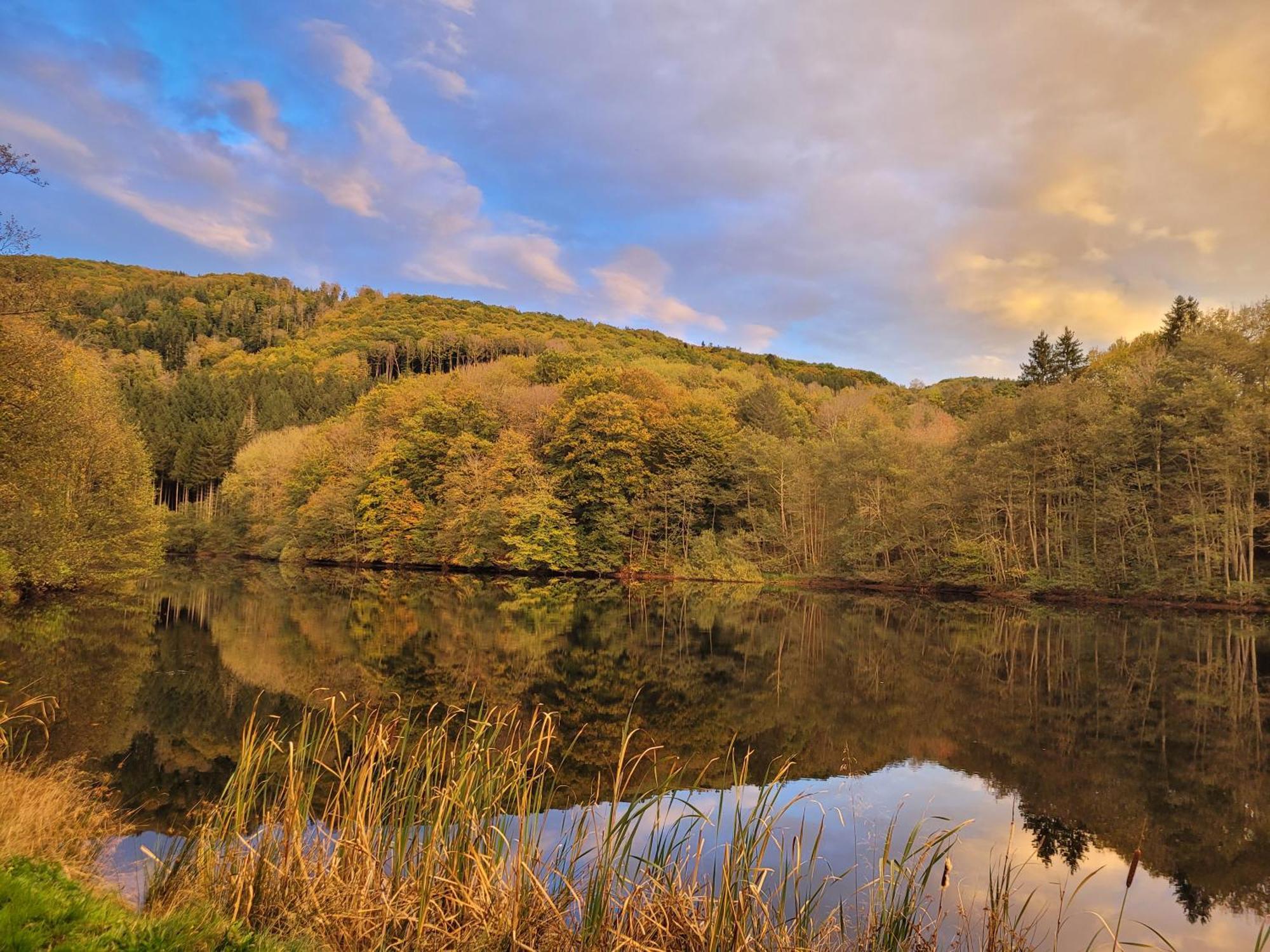 Le Lac Des Moines Condat (Cantal) Exterior foto