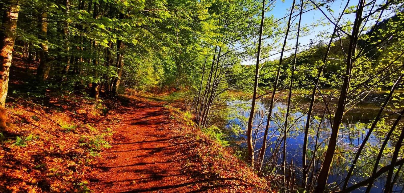 Le Lac Des Moines Condat (Cantal) Exterior foto