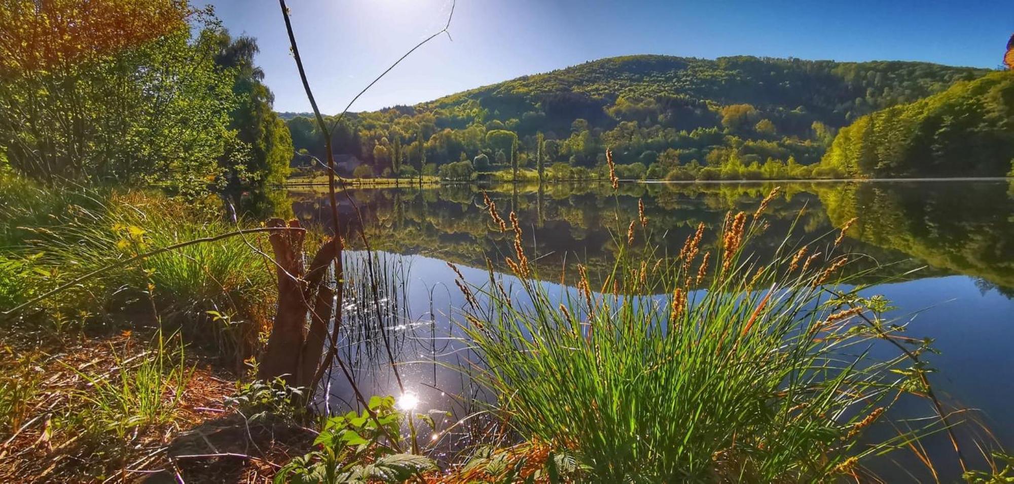 Le Lac Des Moines Condat (Cantal) Exterior foto