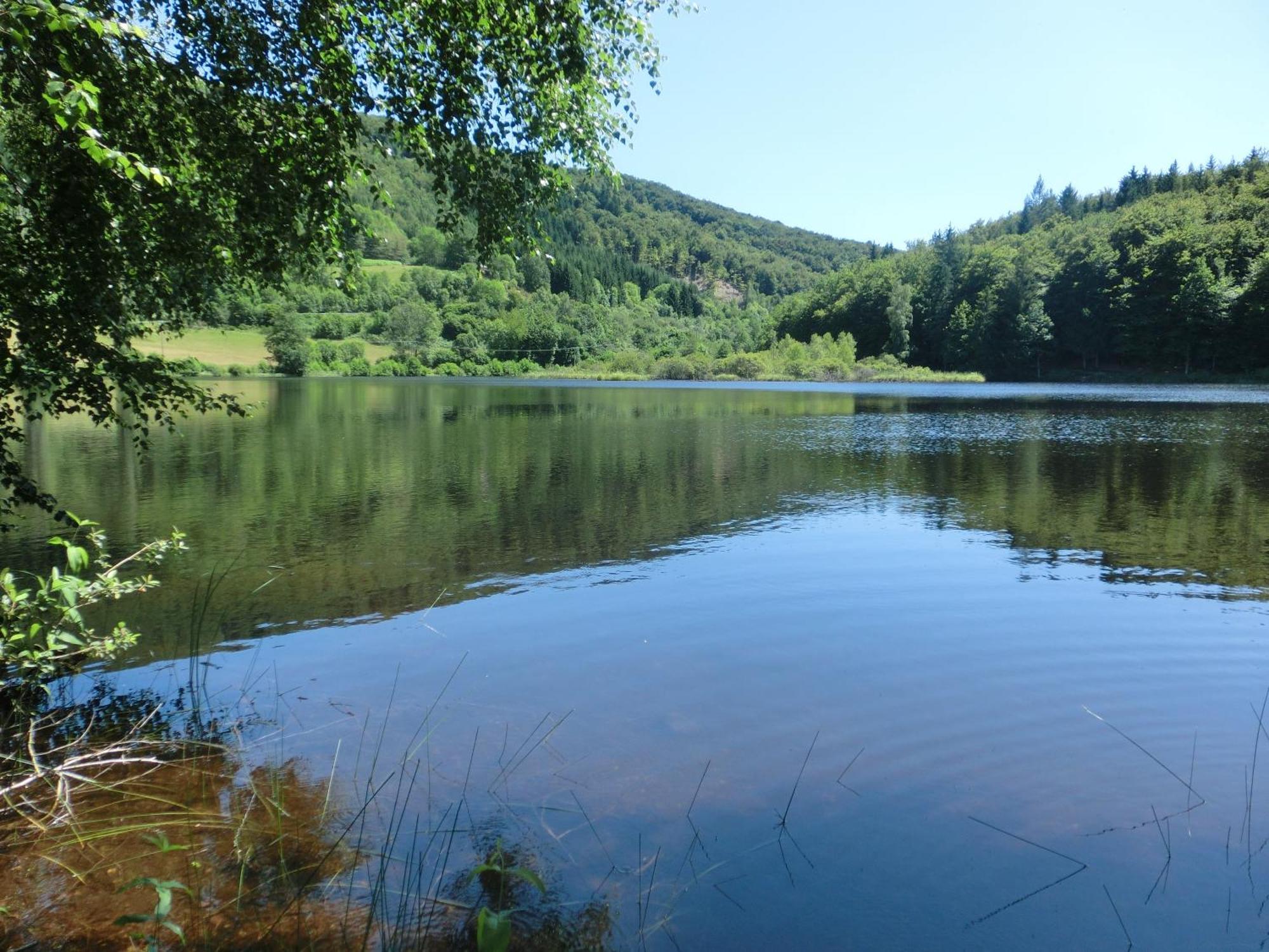 Le Lac Des Moines Condat (Cantal) Exterior foto
