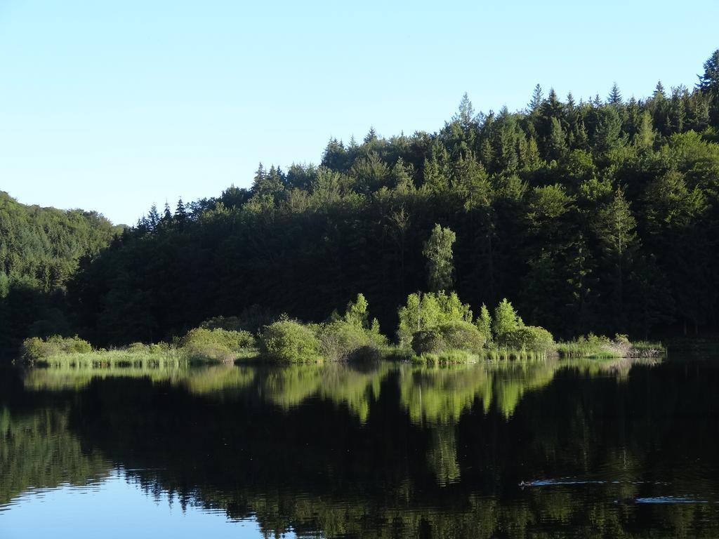 Le Lac Des Moines Condat (Cantal) Exterior foto